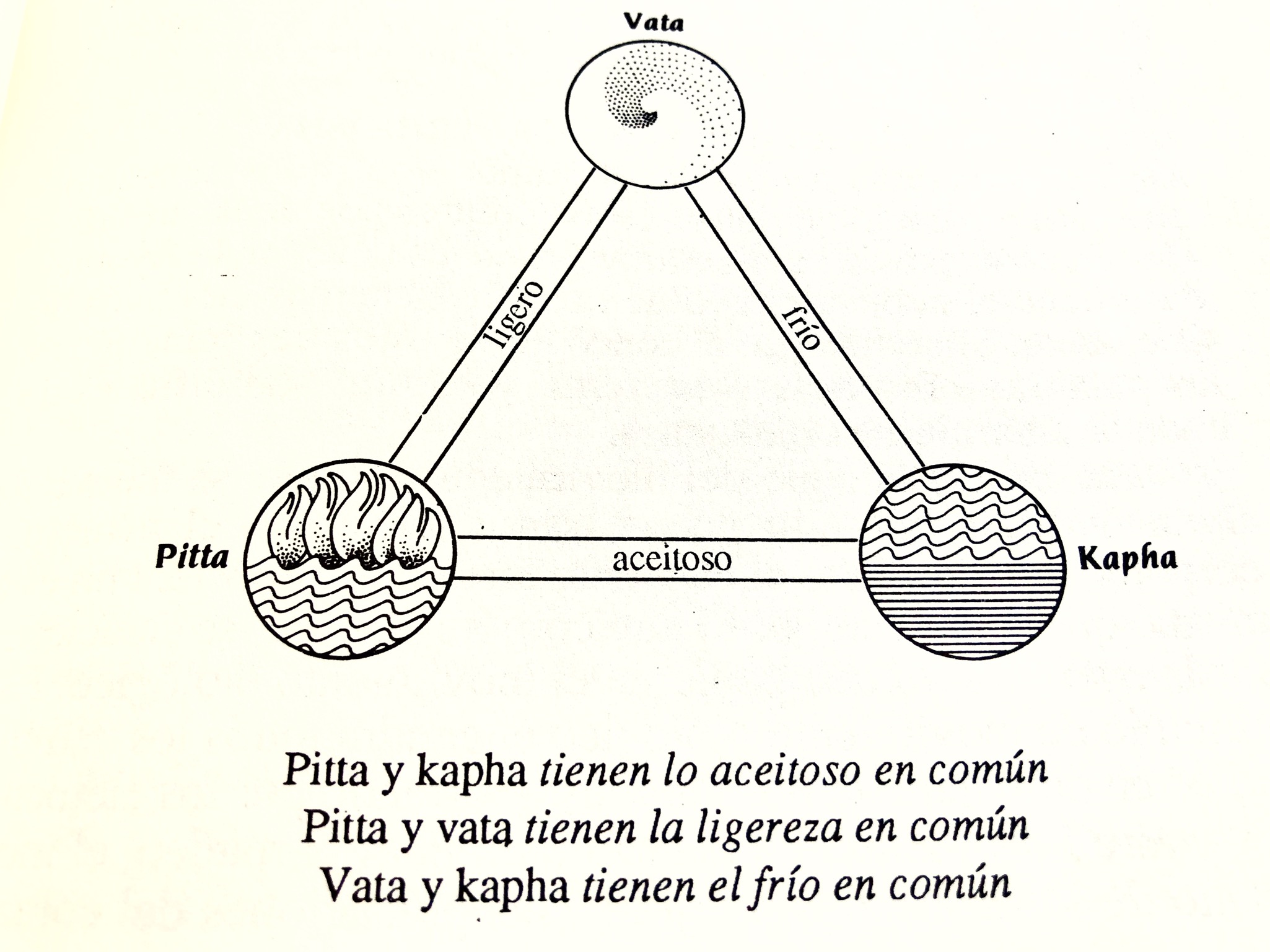 ¿Cuál es tu constitución según el Ayurveda? Y.E.S., Yoga Evolution School