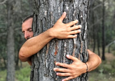 arbol Meditación