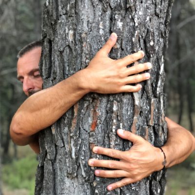 arbol Meditación