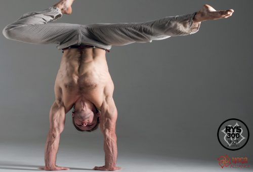 Power Vinyasa Formación Profesores Yoga Power Vinyasa Formación Profesores Yoga