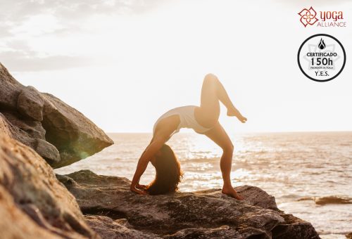 Prana Vinyasa Flow Formación España Prana Vinyasa Flow Formación España