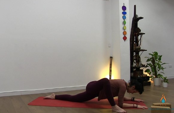 Yin Yoga para los meridianos de Bazo y Estómago