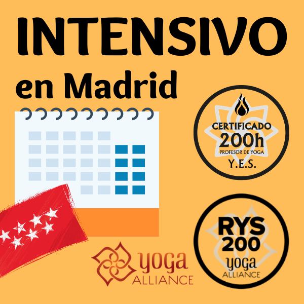 Formación certificada de profesores de yoga y meditación