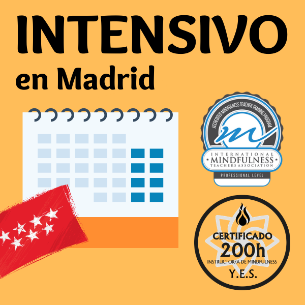 Formación certificada de profesores de yoga y meditación