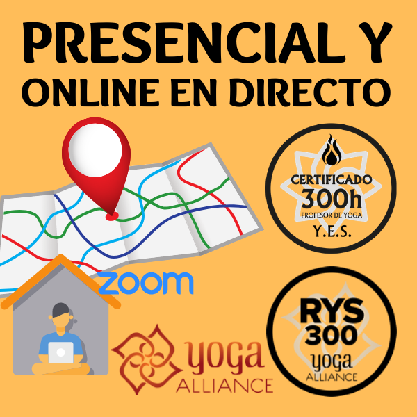 Formación certificada de profesores de yoga y meditación