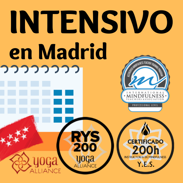 Formación certificada de profesores de yoga y meditación