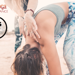 100h Yoga Restaurativo & Mindful Yoga